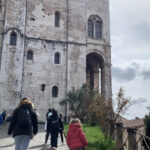 IMG 7833