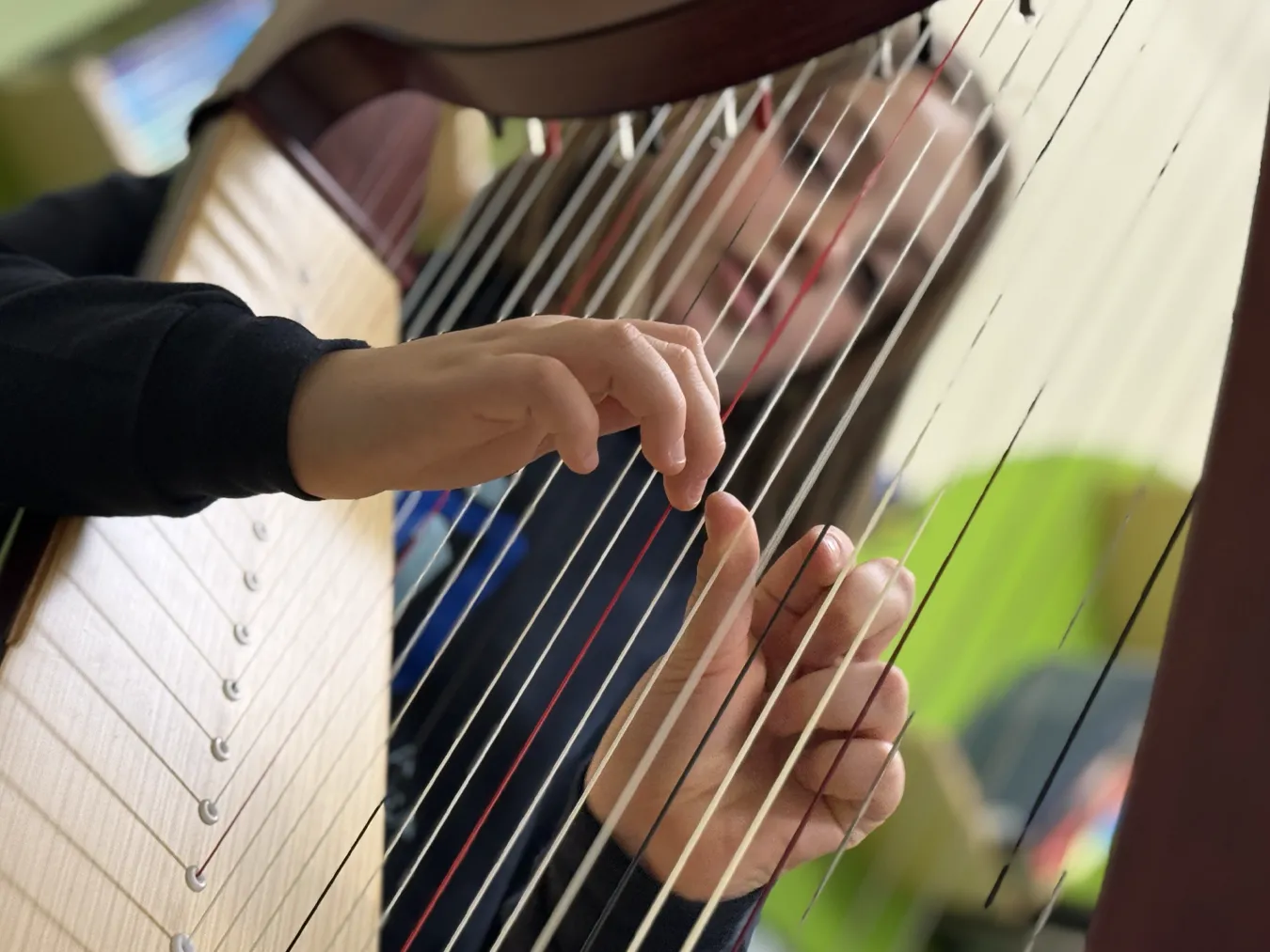 associazione polvere di stelle arpa scuola santa dorotea casalgrande