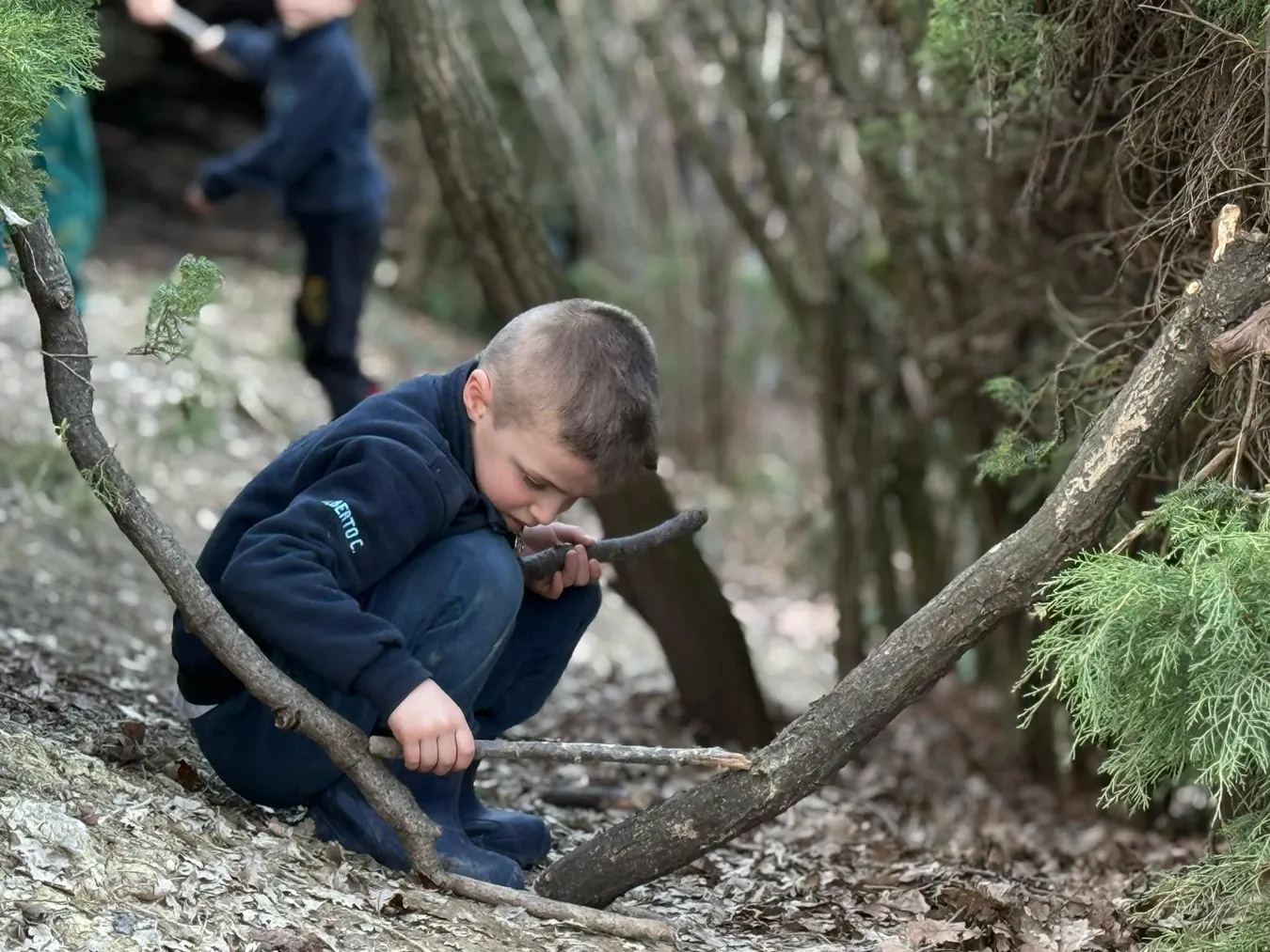 associazione polvere di stelle natura scuola santa dorotea casalgrande associazione polvere di stelle natura scuola santa dorotea casalgrande