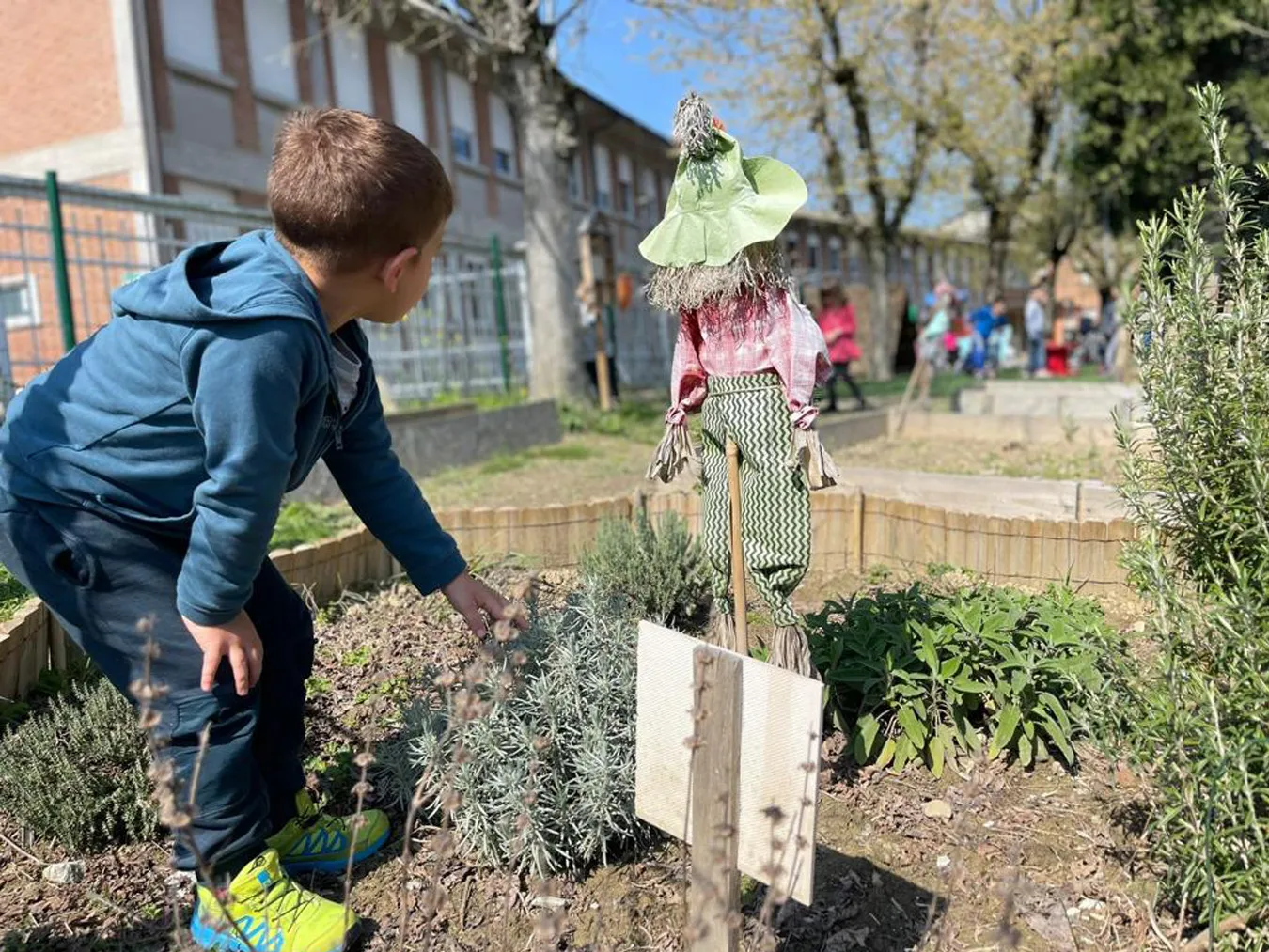 educazione alla natura scuola infanzia santa dorotea casalgrande educazione alla natura scuola infanzia santa dorotea casalgrande
